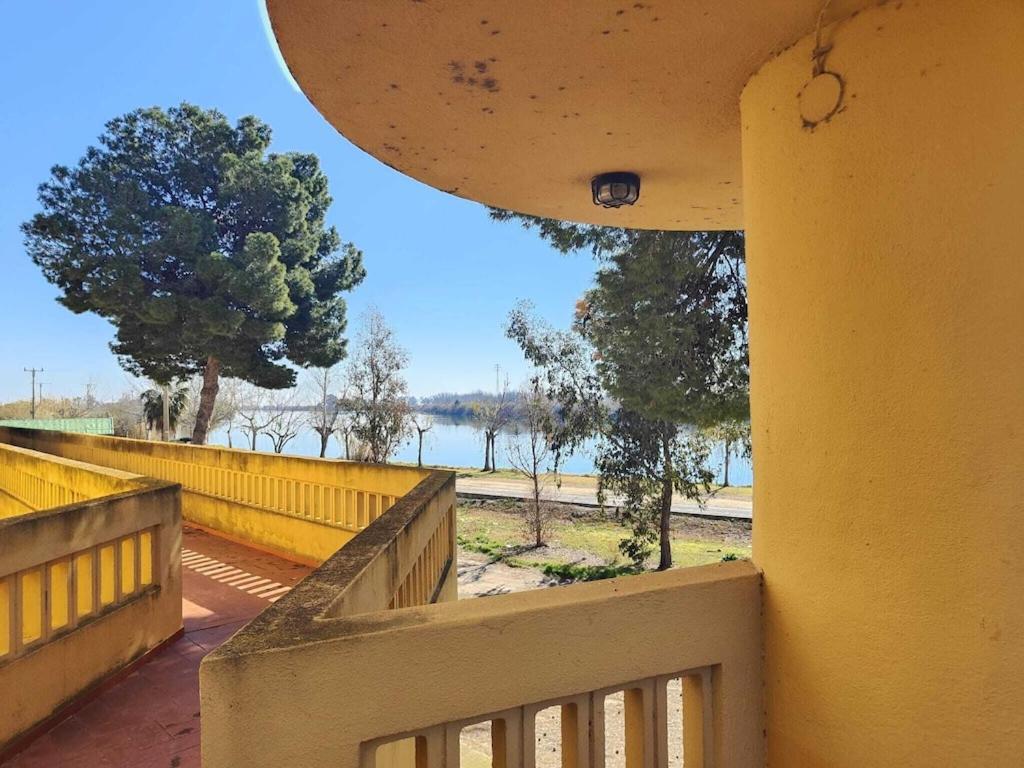 Superbe Appartement Terrasse Entierement Renove Au Bord De L'Ebre Deltebre Exterior foto
