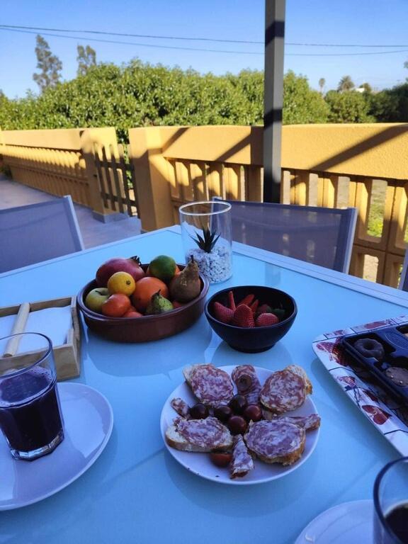 Superbe Appartement Terrasse Entierement Renove Au Bord De L'Ebre Deltebre Exterior foto
